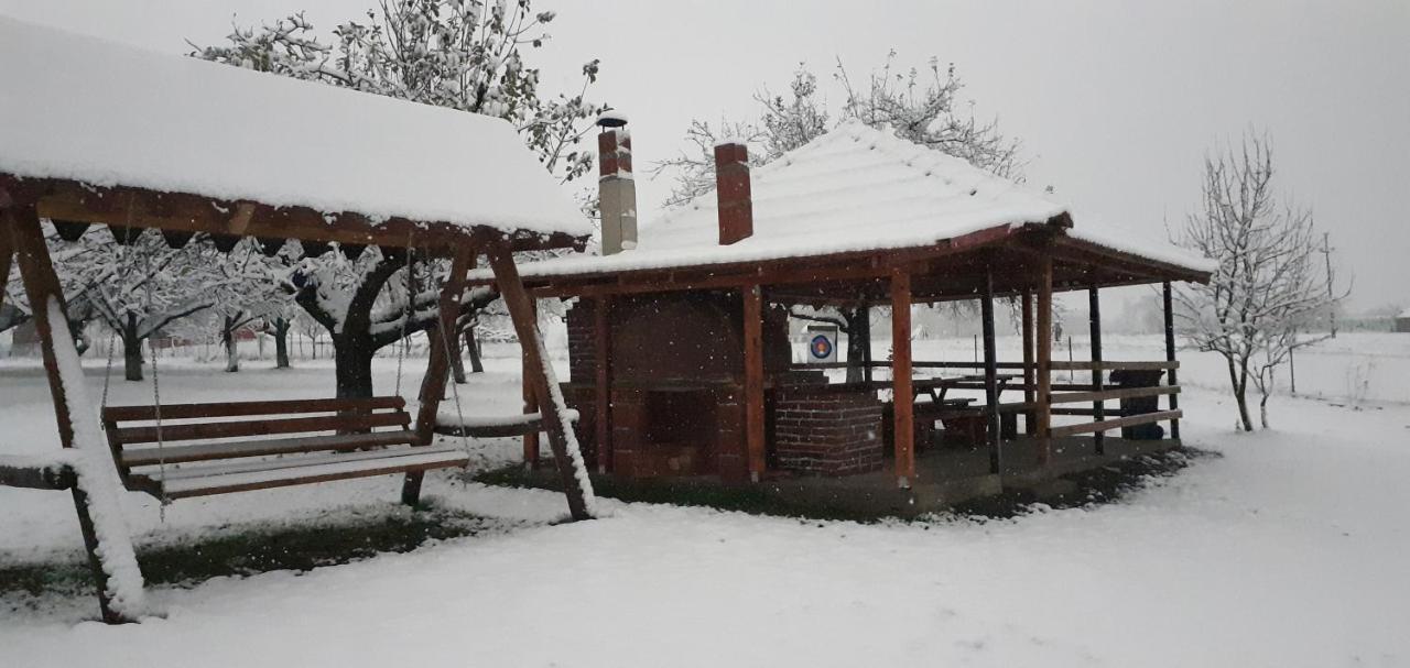 Pensiunea Agroturistica Ica Valea Drăganului Eksteriør billede