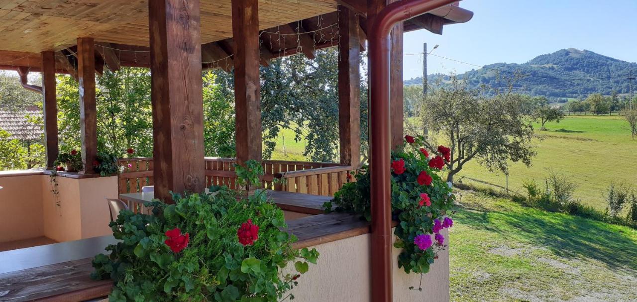 Pensiunea Agroturistica Ica Valea Drăganului Eksteriør billede