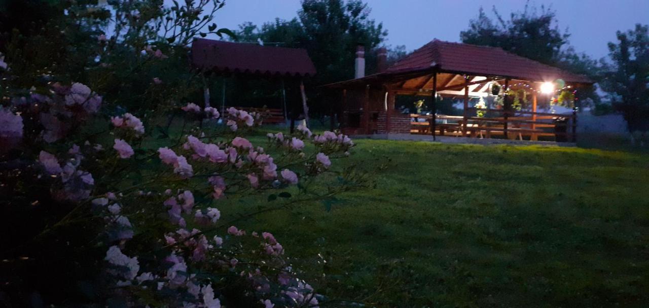 Pensiunea Agroturistica Ica Valea Drăganului Eksteriør billede