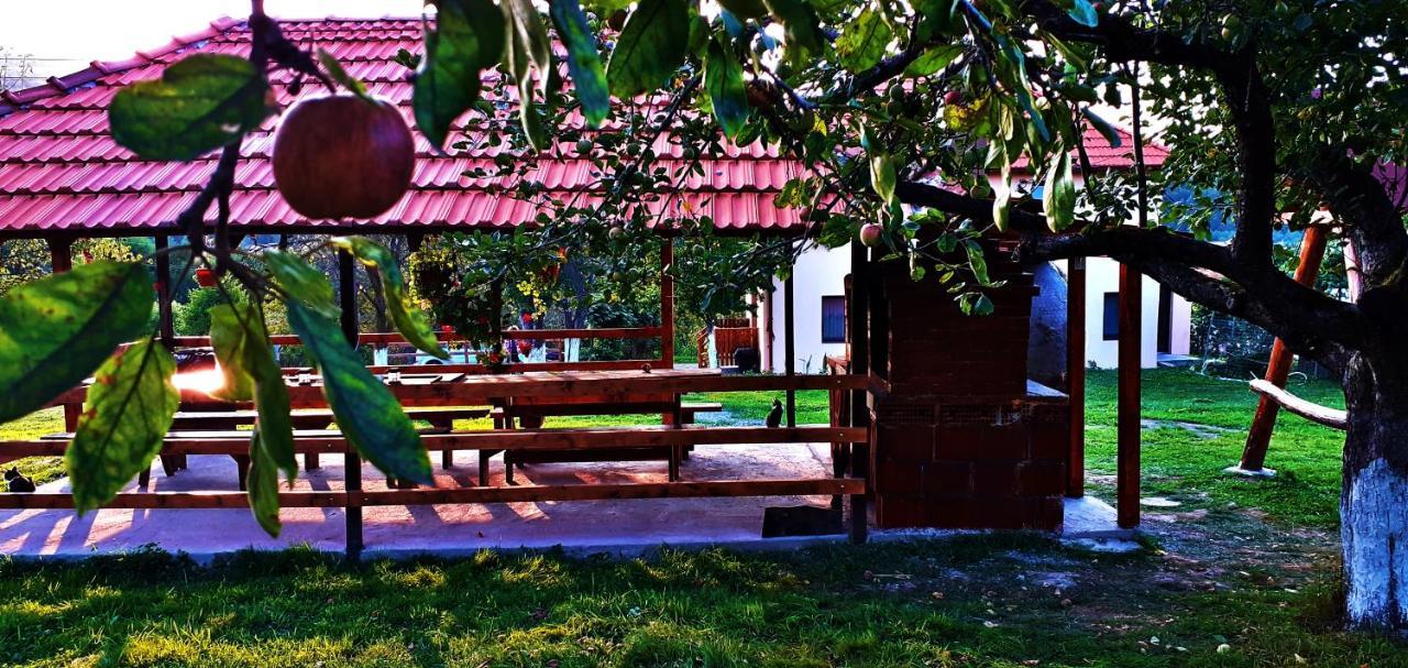 Pensiunea Agroturistica Ica Valea Drăganului Eksteriør billede