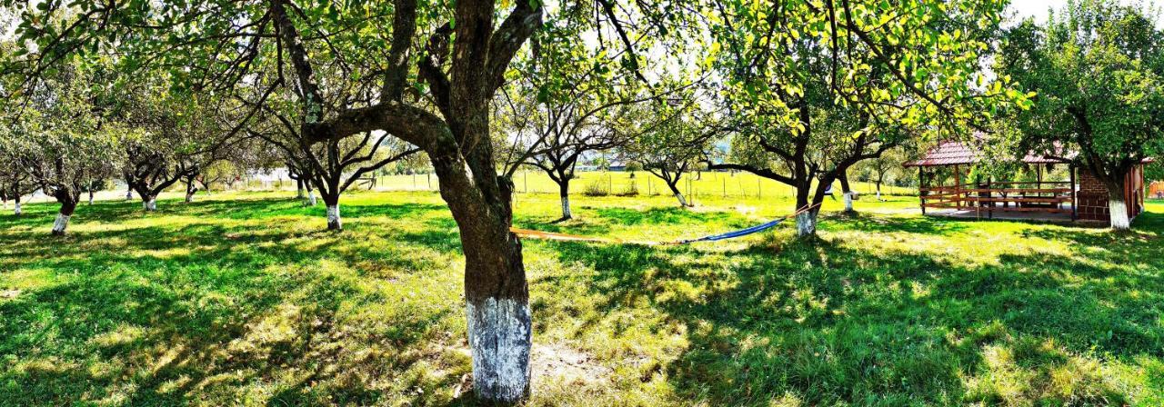 Pensiunea Agroturistica Ica Valea Drăganului Eksteriør billede