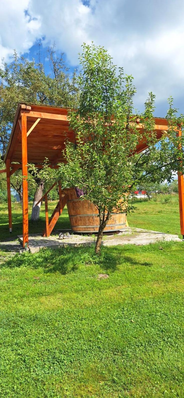 Pensiunea Agroturistica Ica Valea Drăganului Eksteriør billede