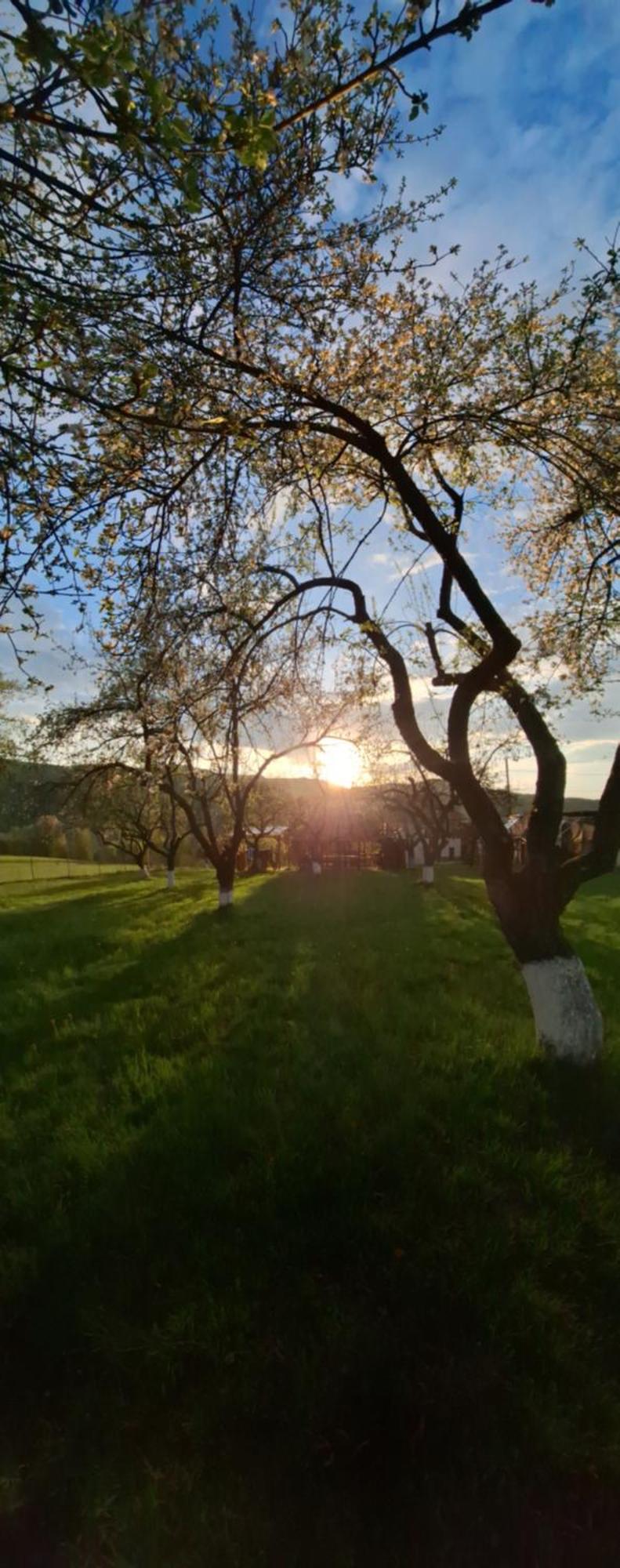 Pensiunea Agroturistica Ica Valea Drăganului Eksteriør billede